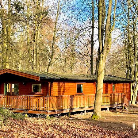 فيلا Bamboo Retreat لاوث المظهر الخارجي الصورة