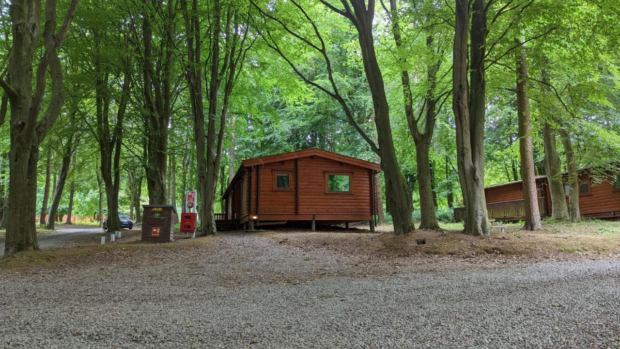 فيلا Bamboo Retreat لاوث المظهر الخارجي الصورة