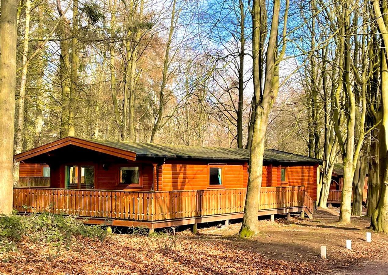 فيلا Bamboo Retreat لاوث المظهر الخارجي الصورة